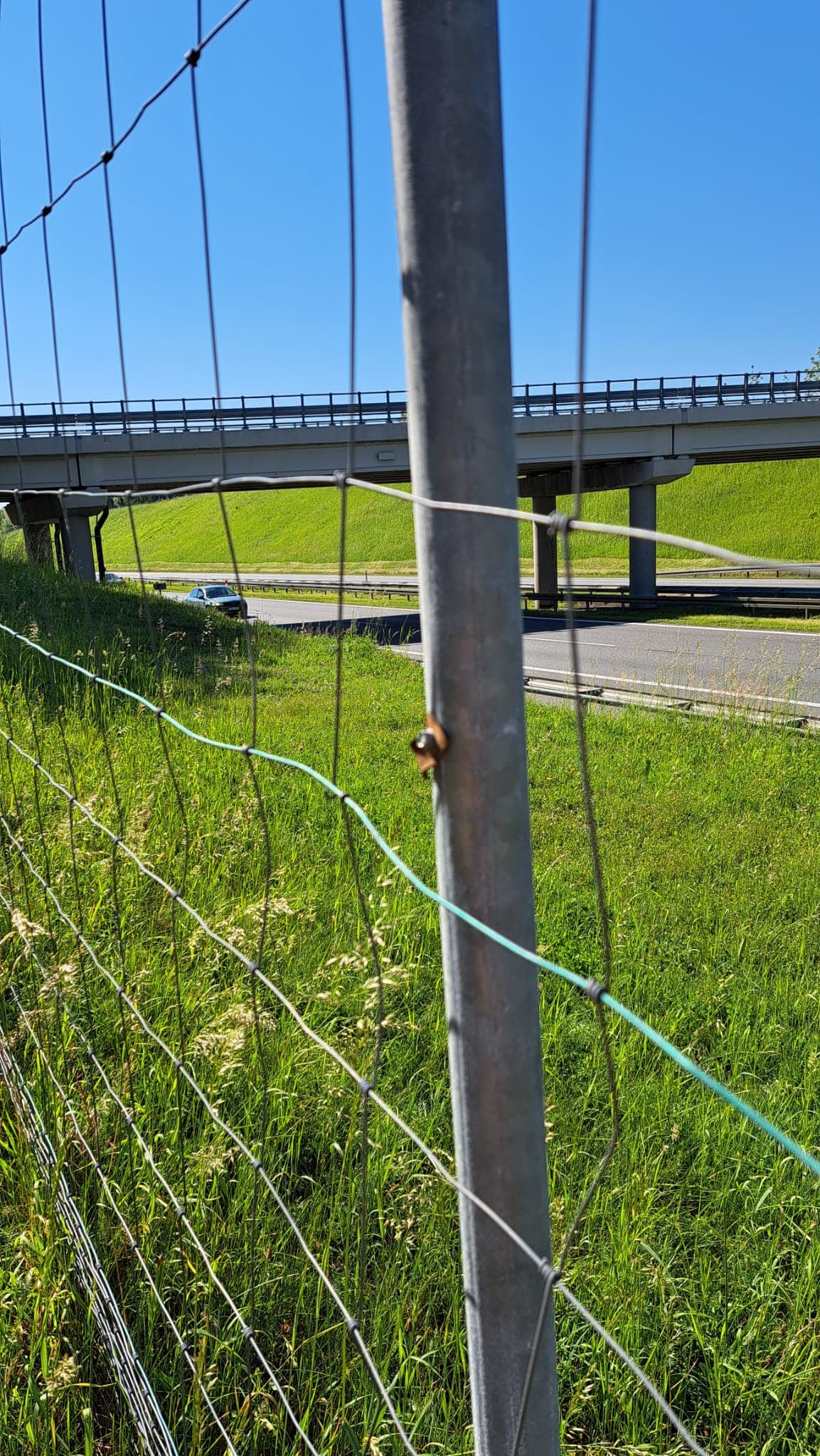 Siatka ogrodzeniowa obok autostrady, w tle widoczna autostrada.